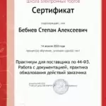 Сертификат Контур.Школа 44-ФЗ3 - Бебнев Степан Алексеевич