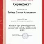 Сертификат Контур.Школа 44-ФЗ4 - Бебнев Степан Алексеевич