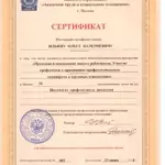 Диплом: Правовая и социальная защита работников, участие профсоюзов в применении профессиональных стандартов в трудовых отношениях, 2016 — Ильин О.В.