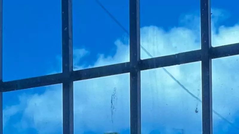 Адвокат Олексюк Иван Олегович объясняет: Как отменить уголовное дело, возбужденное по заявлению без доказательств?