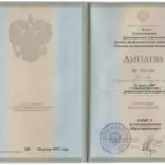 Диплом: Томский государственный университет, 2007 — Станишевский Д.С.