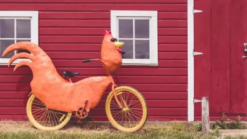 Жители Ярославской области могут получить 25 000 рублей на покраску дома