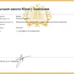 Диплом: Исполнительное производство, 2025 — Демин Е.С.