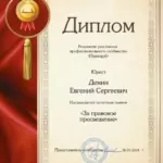 Диплом праворуб 2018 - Демин Евгений Сергеевич