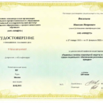 Диплом: Правовые основы социальной защиты и гарантии в сфере социального обеспечения различных категорий граждан, 2021 — Васильев М.И.