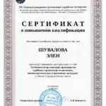 Сертификат 4 - Шувалова Элен Владимировна