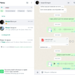 Выписка из реестра 2025 - Левин Денис Николаевич