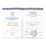 Диплом: ФГБОУ ВО КГУ, 2019 — Сарсекеева А.Т.