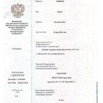 Диплом: Ульяновский государственный университет, 2025 — Ананьина М.В.