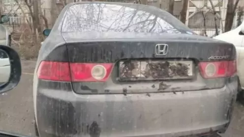 На заметку автолюбителям: госзнаки скрыть теперь не получится… и вот почему