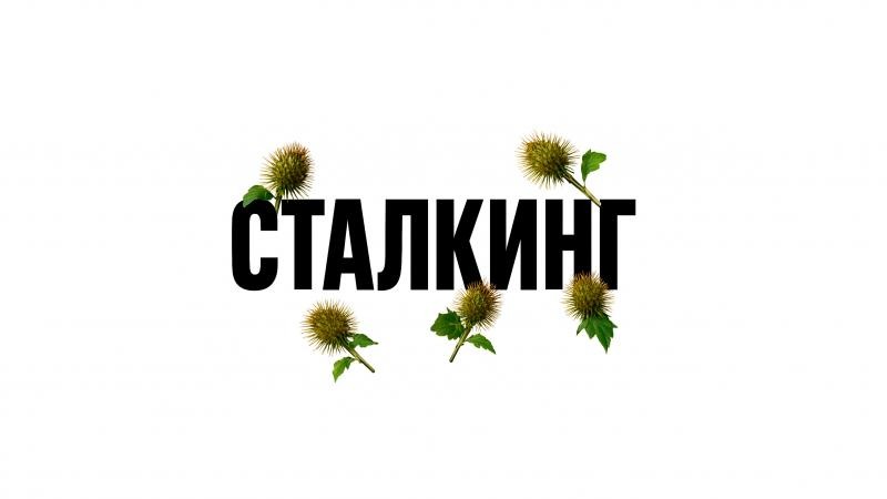 Адвокат Валитов Альберт Азатович объясняет: Какие права у жертв сталкинга?