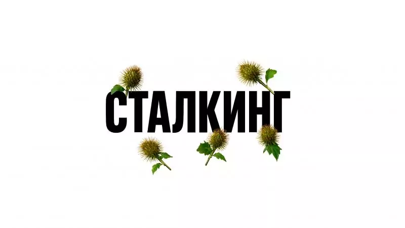 Адвокат Валитов Альберт Азатович объясняет: Какие права у жертв сталкинга?