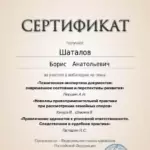Сертификат 2 - Шаталов Борис Анатольевич