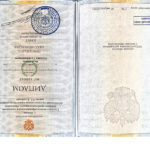 Диплом: Оренбургский институт (филиал) Московской государственной юридической академии имени О.Е. Кутафина, 2010 — Бурумбаев Р.С.