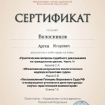 Сертификат - Волосников Артём Игоревич