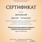 Сертификат - Целковский Дмитрий Геннадьевич