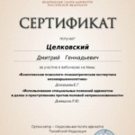Сертификат 2 - Целковский Дмитрий Геннадьевич