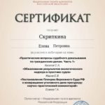 Сертификат 10.09.25 - Скрипкина Елена Петровна
