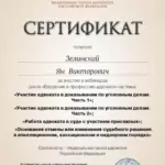 Сертификат - Зелинский Ян Викторович