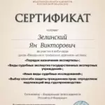 Сертификат - Зелинский Ян Викторович