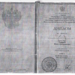 Диплом - Баязитова Ирина Владимировна