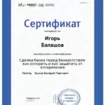 Сертификат 14.03.17 - Балашов Игорь Евгеньевич