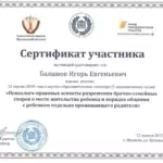 Сертификат - Балашов Игорь Евгеньевич