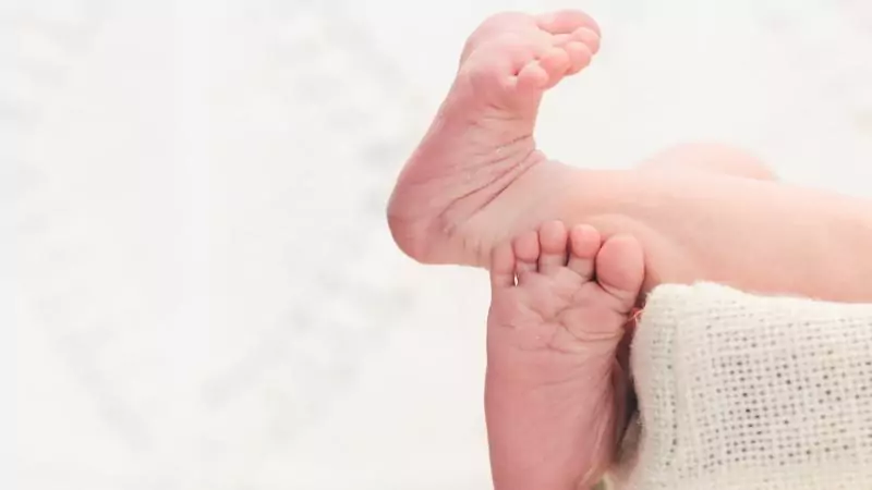 Юрист Подлевских Наталья Анатольевна объясняет: Лишение родительских прав за долги по алиментам