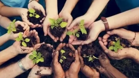 Волонтёры. Кто они такие и какие у них есть права