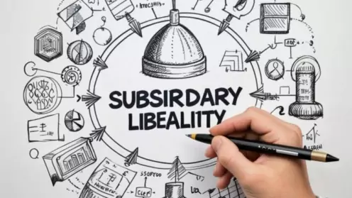 Субсидиарка без банкротства: миф или реальность
