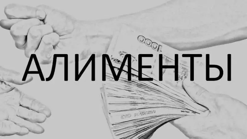 Адвокат Матвиишин Константин Степанович объясняет: Алименты в твердой сумме: как обеспечить стабильность ребенку, если доход 2-го родителя непостоянен