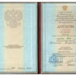Диплом - Погожева Наталья Владимировна