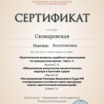 Сертификат 12.09.2025 - Скомаровская Надежда Валентиновна
