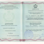 Диплом Сафонов Е.В. АУ 2017г. - Сафонов Евгений Викторович