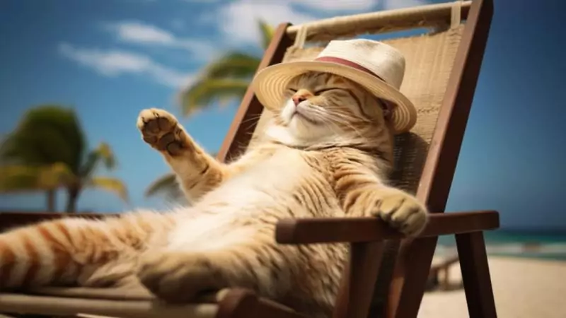 Адвокат Аушева Эвелина Валеровна объясняет: В каких случаях работодатель обязан предоставить работнику отпуск без сохранения заработной платы