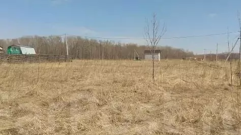 Изъятие земли за неиспользование