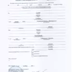 Свидетельство о заключении брака - Адлейба Оксана Владимировна