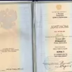 Диплом - Шадринцева Елена Алексеевна