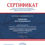 Сертификат 5 - Шувалова Элен Владимировна