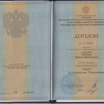 Диплом - Жиляков Виталий Викторович