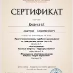 Сертификат - Колонтай Дмитрий Владимирович