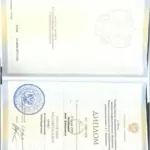 Диплом - Кондратьева Инна Валерьевна
