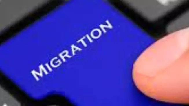 Адвокат Колонтай Дмитрий Владимирович объясняет: Миграционный контроль