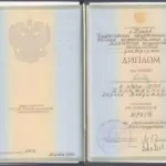 Диплом - Демянчук Лариса Владимировна