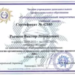 Сертификат диагностика бизнес-процессов - Рычков Виктор Леонидович