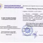 Сертификат моделирование бизнес-процессов - Рычков Виктор Леонидович