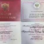 Диплом - Тарановский Давид Эдуардович
