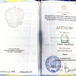 Диплом Новоселов С.А. - Новоселов Сергей Алексеевич