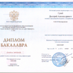 Диплом: ОмГУ им. Ф.М. Достоевского, 2019 — Гузей Д.А.