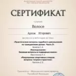 Сертификат 3 - Волосников Артём Игоревич